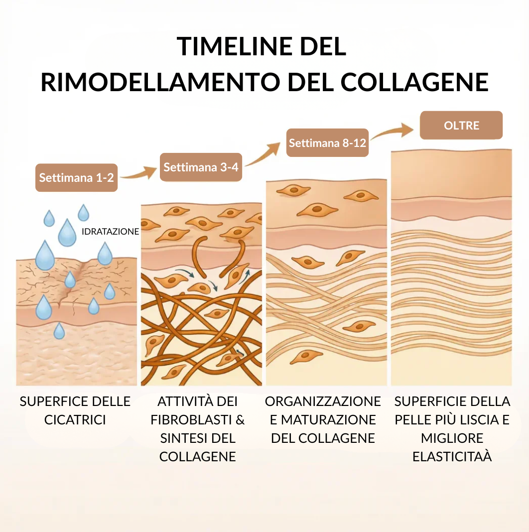 Stick Clinico per il Rimodellamento delle Cicatrici da Acne™